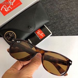 Ray-Ban Sunglasses 602